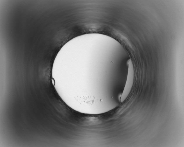 X0000093500509200711091705