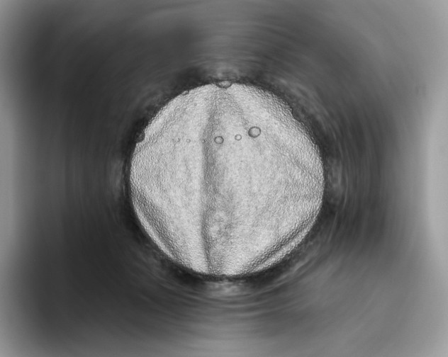 X0000093500511200711091705