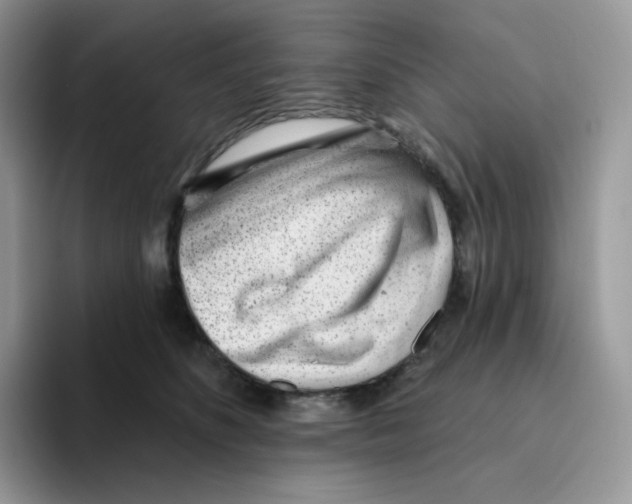 X0000093500516200711091705