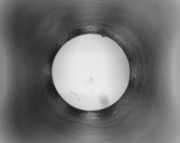 X0000093500518200711091705