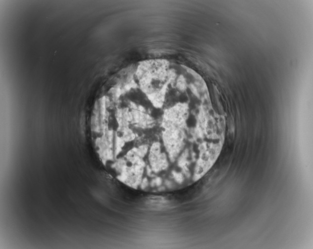 X0000093500519200711091705