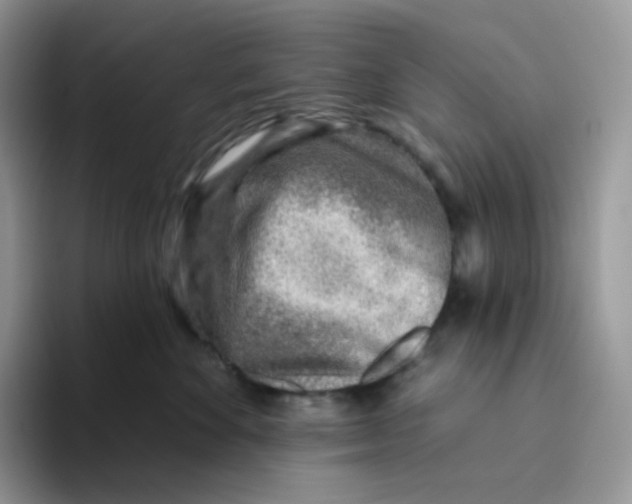 X0000093500524200711091705