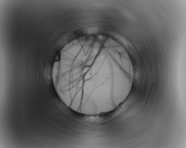 X0000093500525200711091705