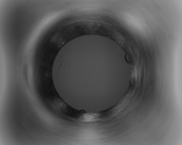 X0000093500526200711091705