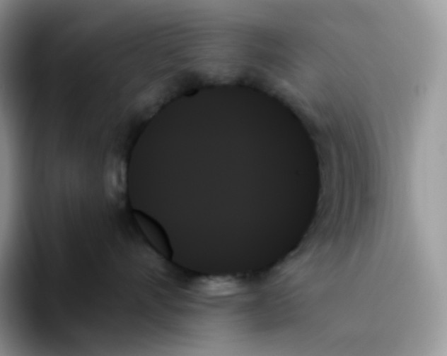 X0000093500528200711091705