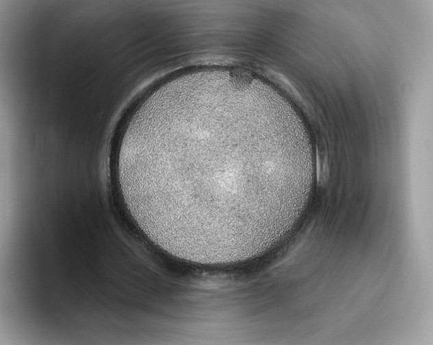 X0000093500531200711091705