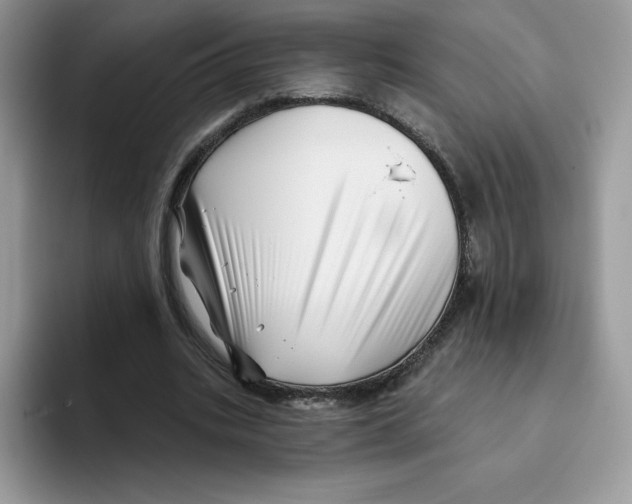 X0000093500535200711091705