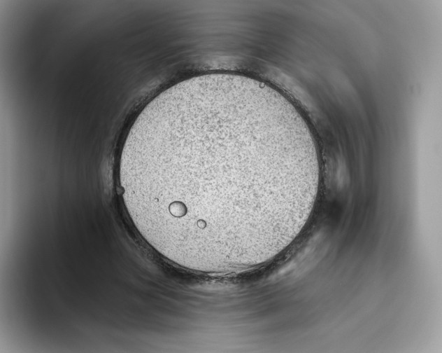 X0000093500537200711091705