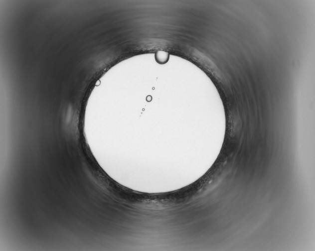 X0000093500538200711091705