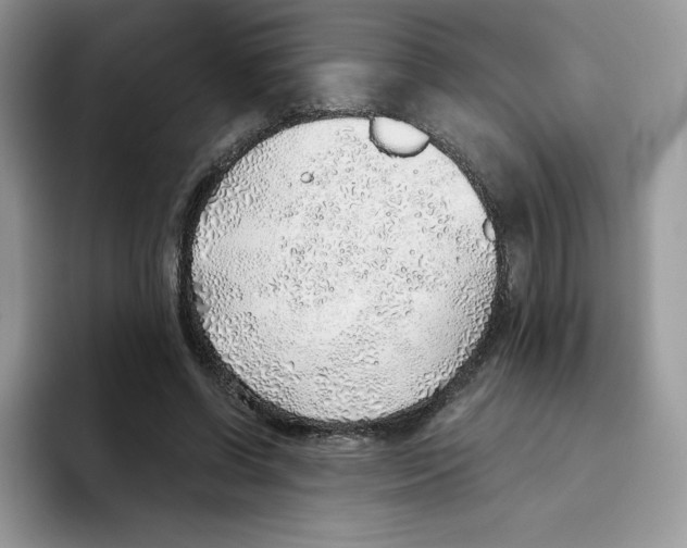 X0000093500542200711091705