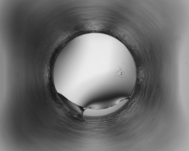 X0000093500544200711091705