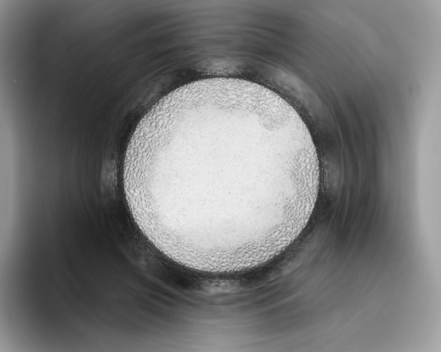 X0000093500549200711091705