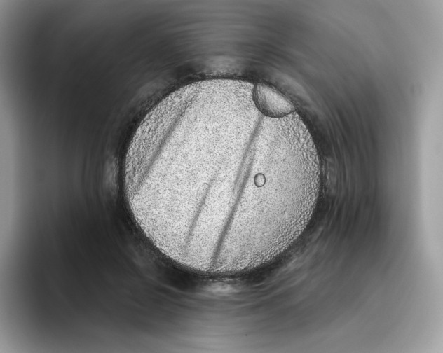 X0000093500550200711091705