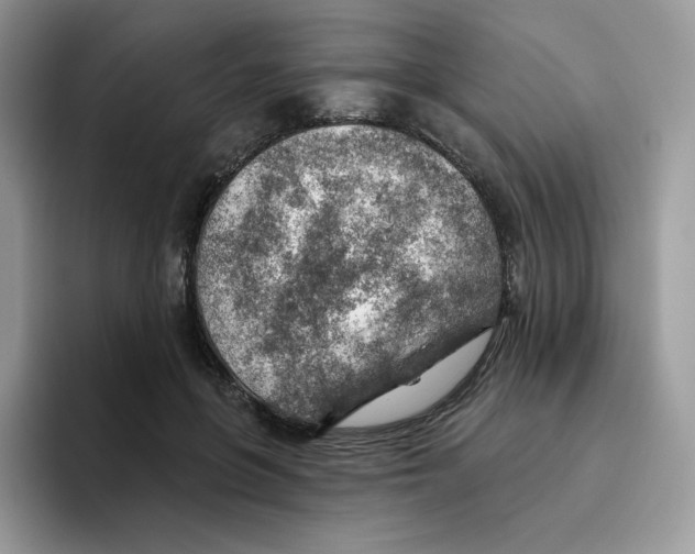 X0000093500551200711091705