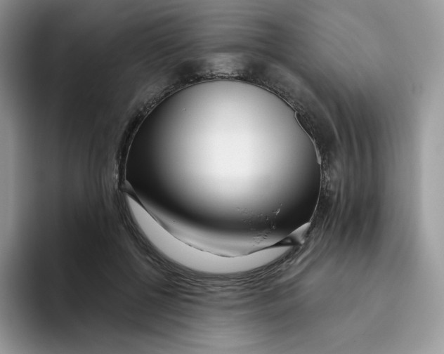 X0000093500552200711091705