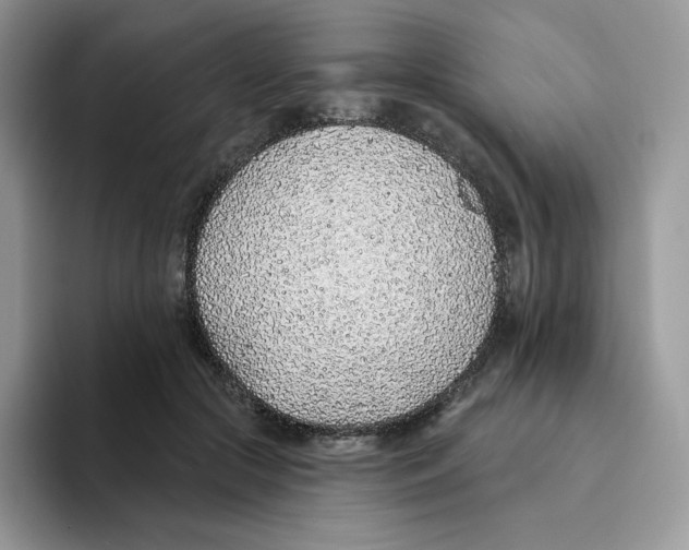 X0000093500553200711091705