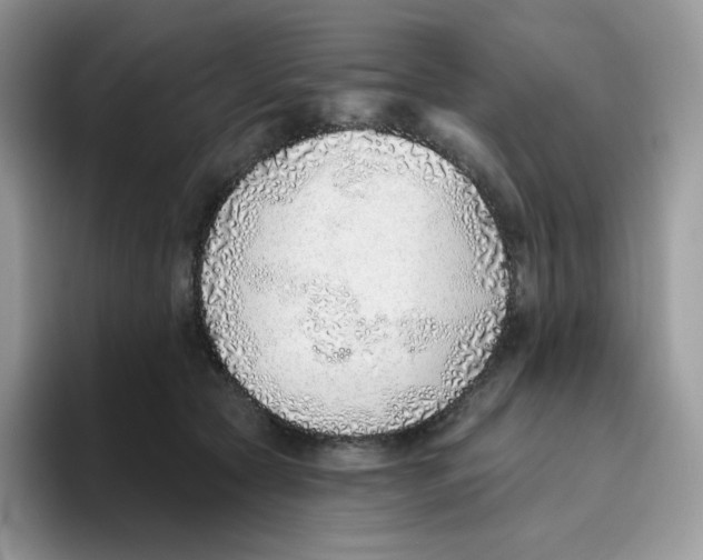 X0000093500561200711091705