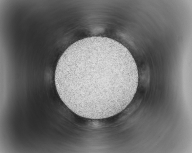 X0000093500565200711091705