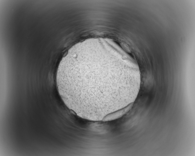 X0000093500568200711091705