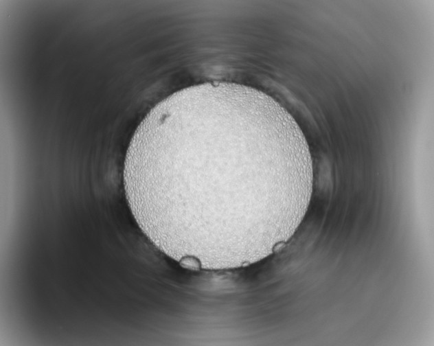 X0000093500569200711091705