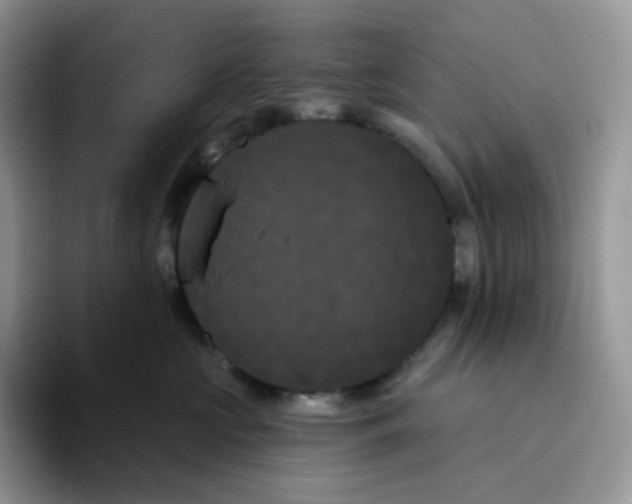 X0000093500573200711091705