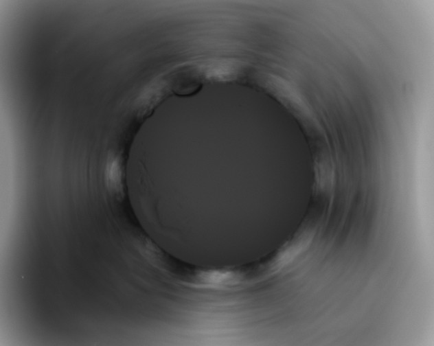 X0000093500575200711091705