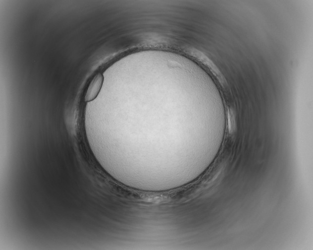 X0000093500579200711091705