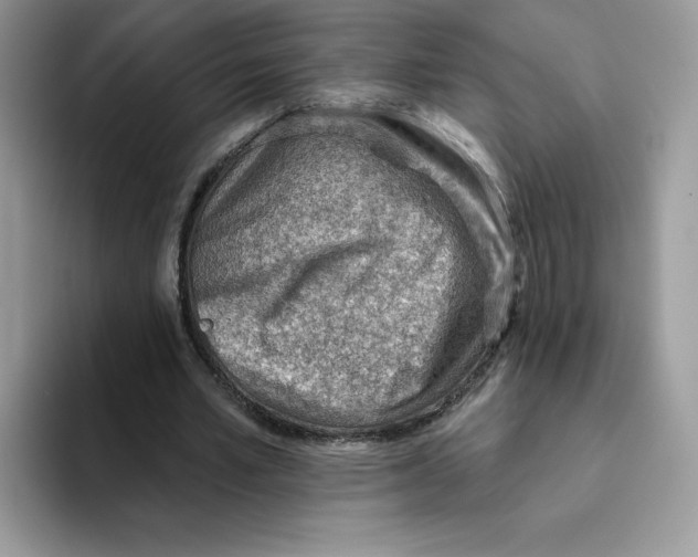 X0000093500581200711091705