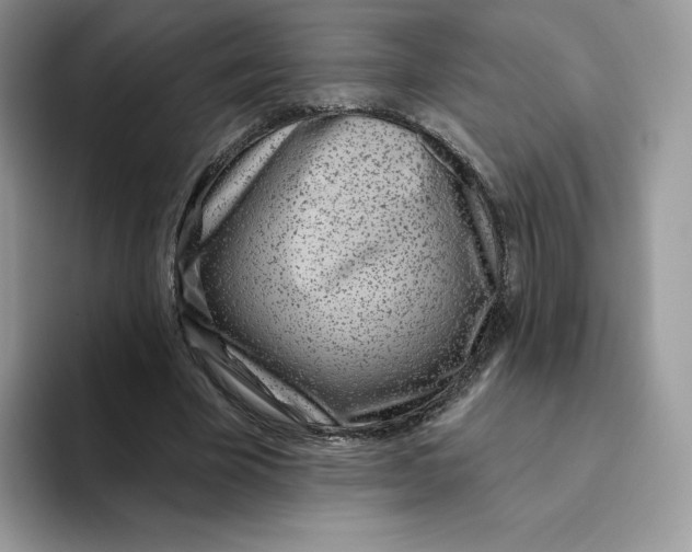 X0000093500585200711091704