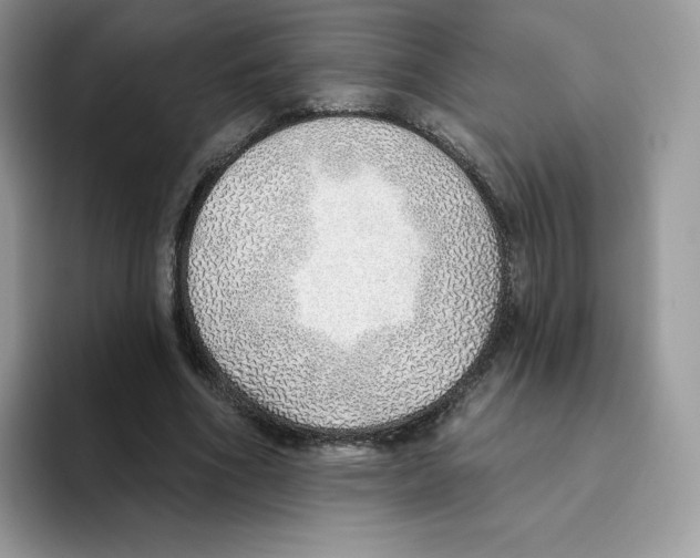 X0000093500586200711091704