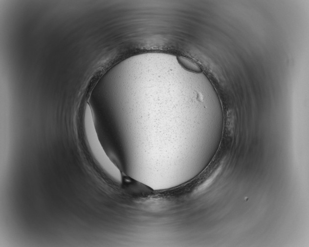 X0000093500589200711091704