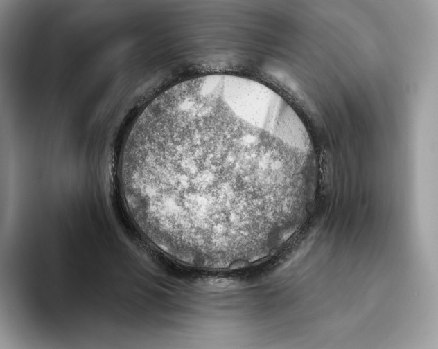 X0000093500590200711091704