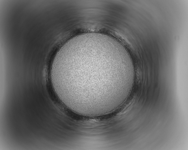 X0000093500594200711091704