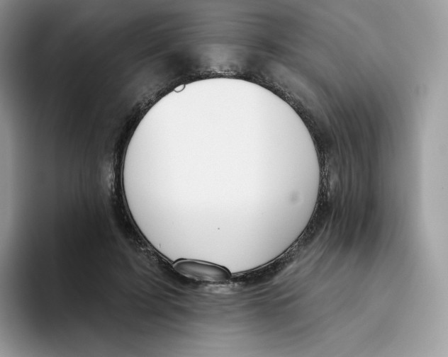 X0000093500595200711091704