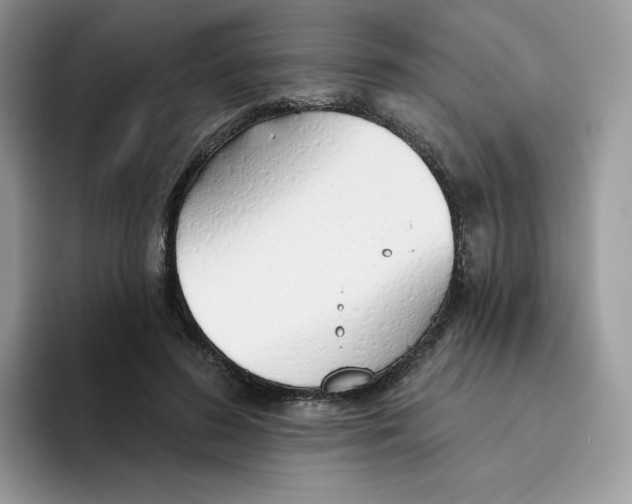 X0000093500596200711091704