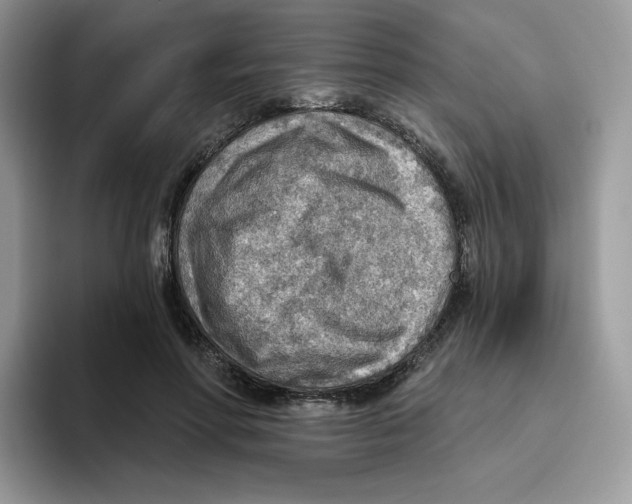 X0000093500598200711091704