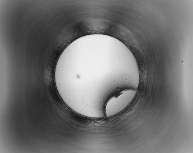 X0000093500599200711091704