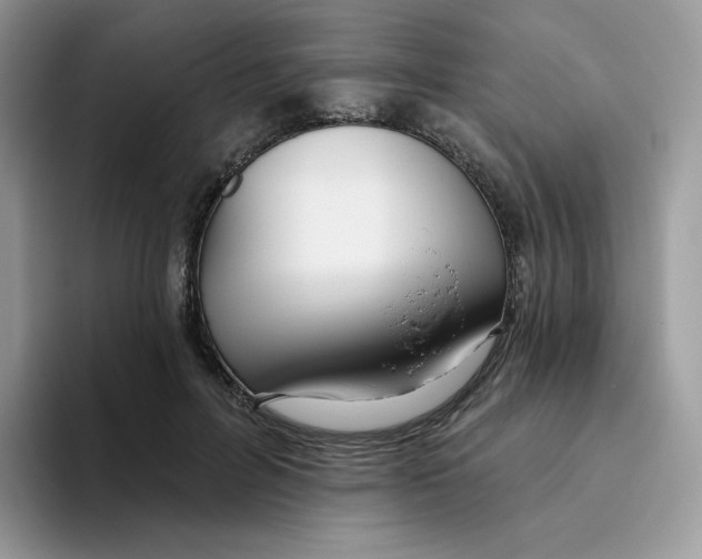 X0000093500600200711091704