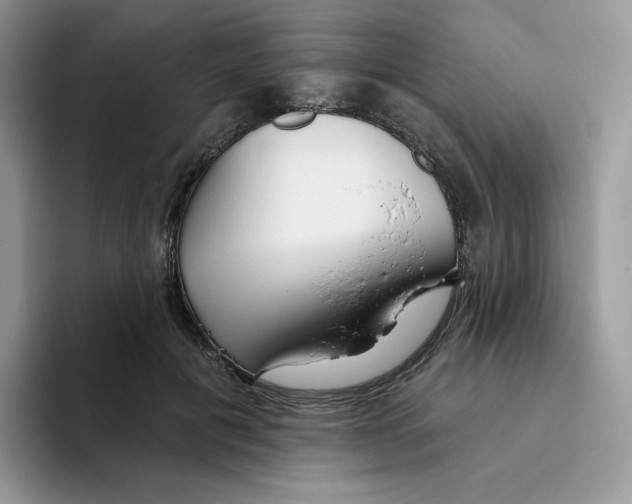 X0000093500601200711091704