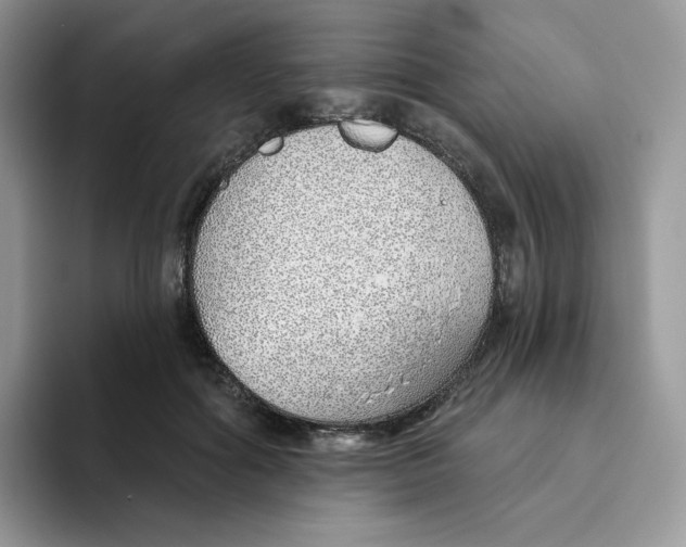 X0000093500602200711091704