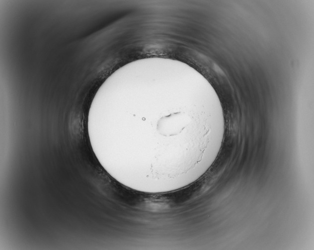 X0000093500603200711091704