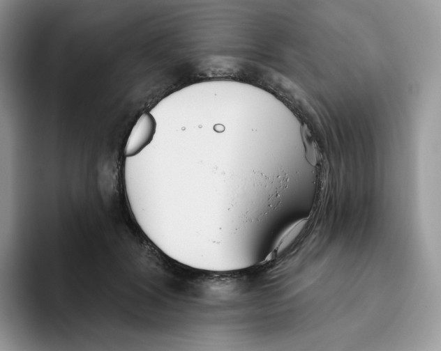 X0000093500604200711091704