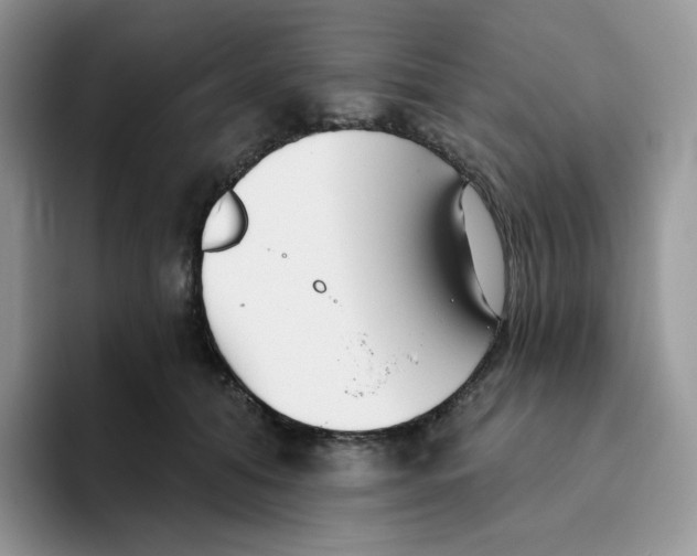 X0000093500608200711091704