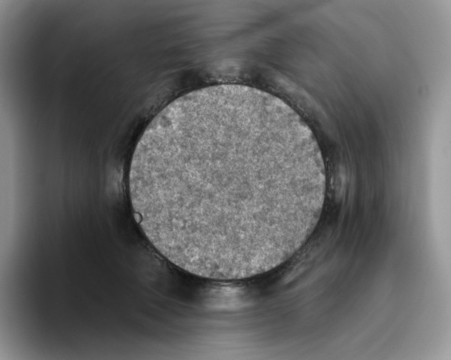 X0000093500610200711091704