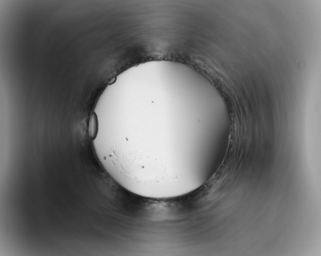 X0000093500611200711091704