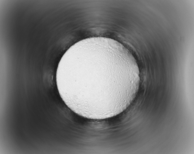 X0000093500615200711091704