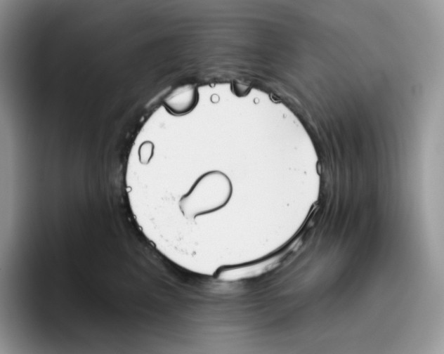 X0000093500617200711091704