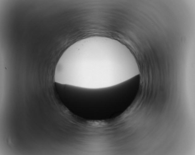 X0000093500621200711091704