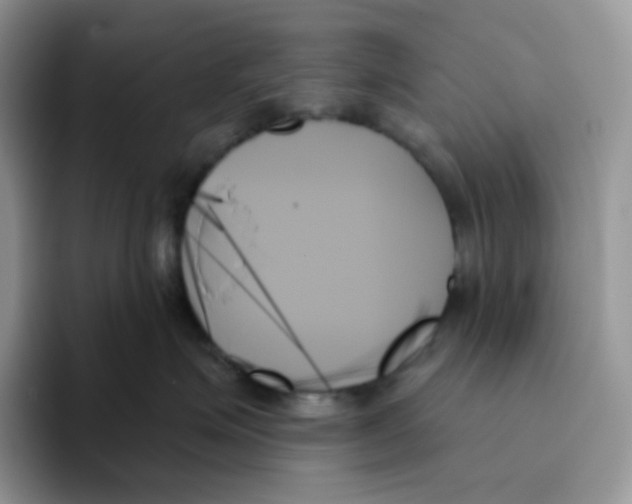 X0000093500623200711091704