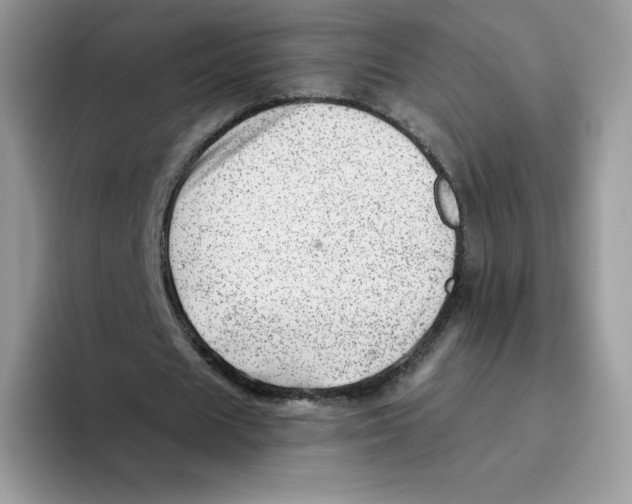 X0000093500625200711091703